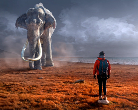 Are you having vivid dreams lately?