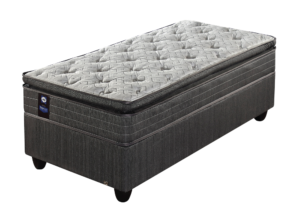 Siena Plush - Sealy Posturepedic